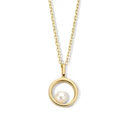 Chaîne Et Pendentif Argent Plaqué Or Avec Perle - Naiomy Silver - Femme - Esha - N3Z53