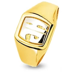 Chevalière 2 Ors Or 18 Ct - 750/1000 - 5.63 G - Anaïs - 1167M