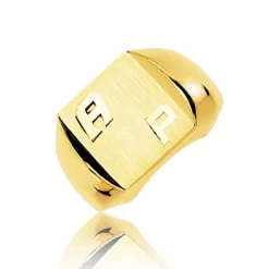 Chevalière Or Jaune Or 18 Ct - 750/1000 - 13.41 G - Naïa - 5025M