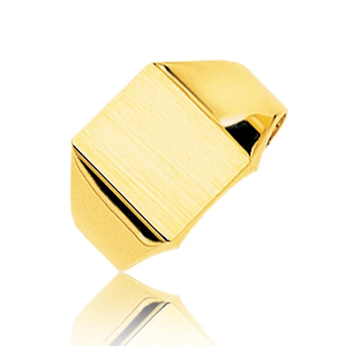 Chevalière Or Jaune Or 18 Ct - 750/1000 - 7.96 G - Kathy - 5024 1 Chevalière Or Jaune Or 18 Ct - 750/1000 - 7.96 G - Kathy - 5024