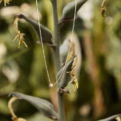 Collier Diamants Brun 0.05 Ct - Lecarré - Madoka - GD106OR.BR -Hamilton Magasin ori collier diamants brun 0 05 ct lecarre madoka gd106or br 46584 70268