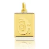 Médaille Pendentif Zodiac Capricorne Or Jaune Debora